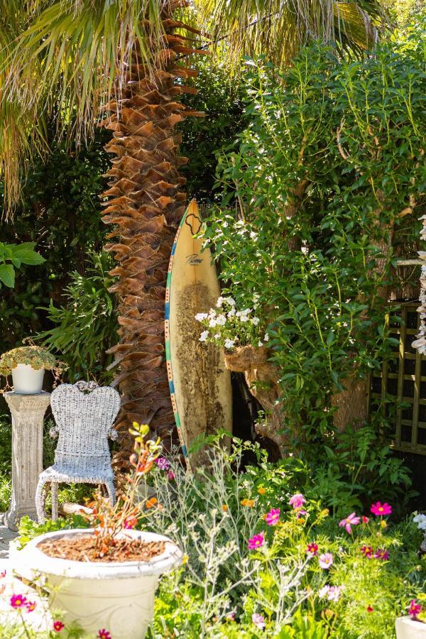 Hotel Guinea Fowl House Kommetjie Exteriér fotografie
